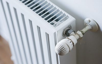 repartitoare_INQUAM_Photos_Virgil_Simonescu.jpg - ReactMedia