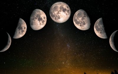 shutterstock-elena11-phases-of-the-moon-the-elements-of-this-image-furnished-by-nasa_02055100.jpg - ReactMedia