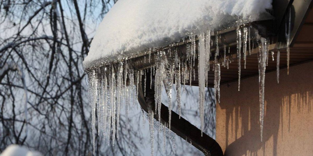 turturi.jpg - ReactMedia