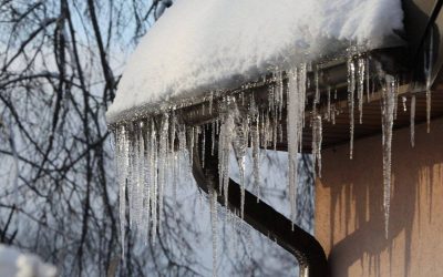 turturi.jpg - ReactMedia