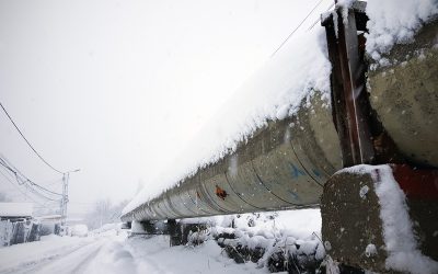 viscol.jpg - ReactMedia