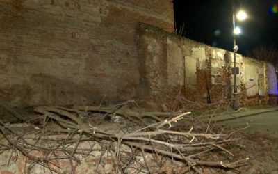 zid-cazut.png - ReactMedia