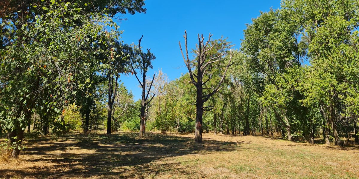 02-01-05_20250923_124228-scaled.jpg - ReactMedia