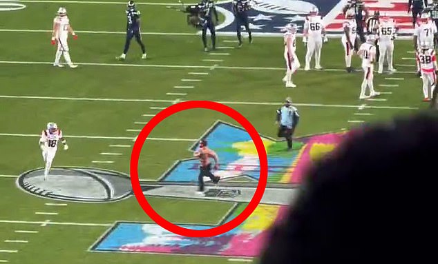 106218351-15541319-A_shirtless_man_stormed_the_field_during_the_fourth_quarter_of_S-a-11_17706054366.jpeg - ReactMedia