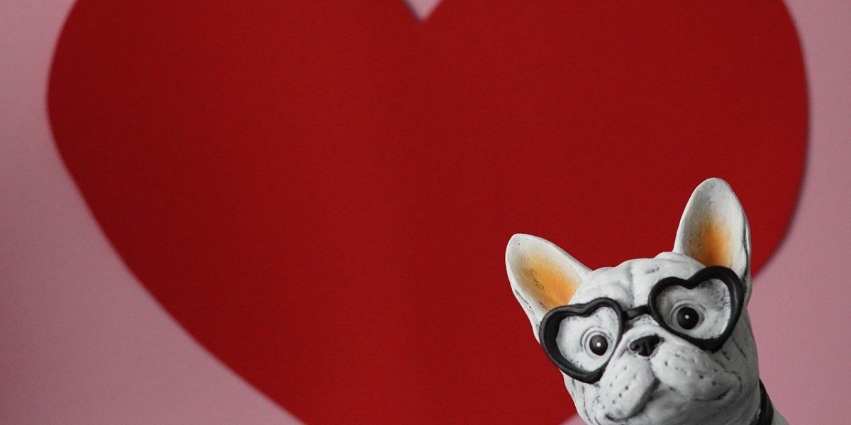 13-19-februarie_pixabay.jpg - ReactMedia