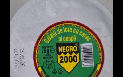 1770309247_index.png - ReactMedia