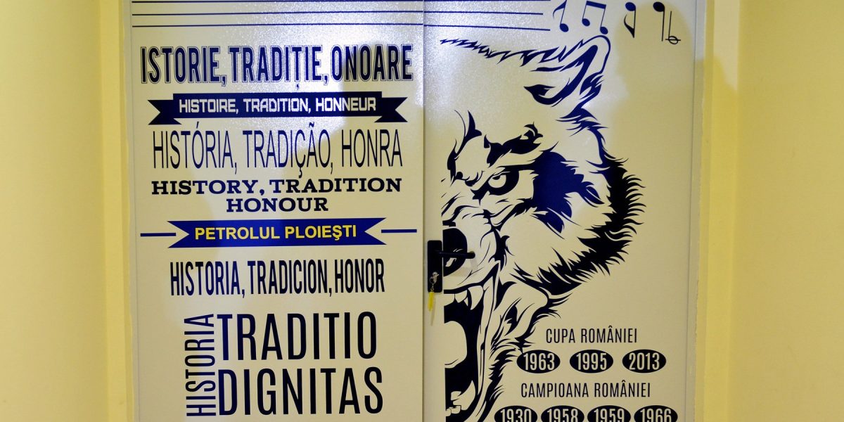 1770320503_img.jpeg - ReactMedia