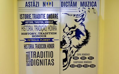 1770320503_img.jpeg - ReactMedia