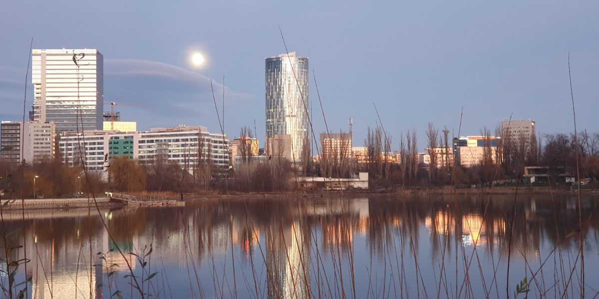 20201229_170227.jpg - ReactMedia