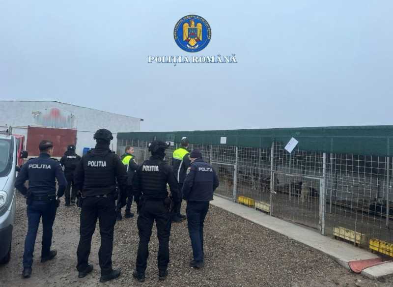 20260214144636_396311.jpg - ReactMedia