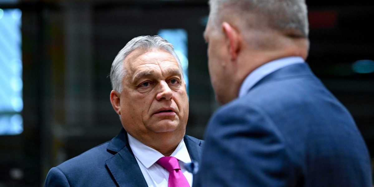 241cae23-1980-4ab2-90d1-f351ad0a1a59-e1702475590659.jpg - ReactMedia