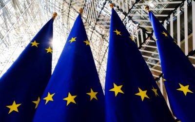 30172298-403a-4e2b-a03b-fb45cea33d43-e1648041625861.jpg - ReactMedia