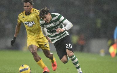 4aa68ba9-665a-4c05-91a3-073968e9e6a3.jpg - ReactMedia