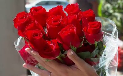 62384270.jpg - ReactMedia