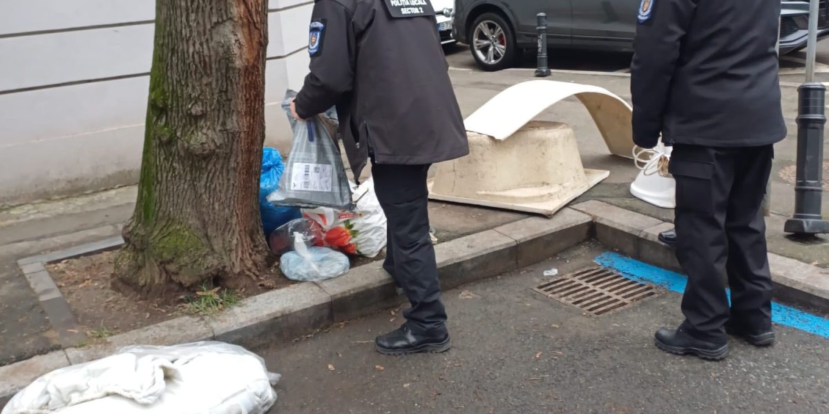 632577843_1402096385295605_8705704417872996948_n.jpg - ReactMedia