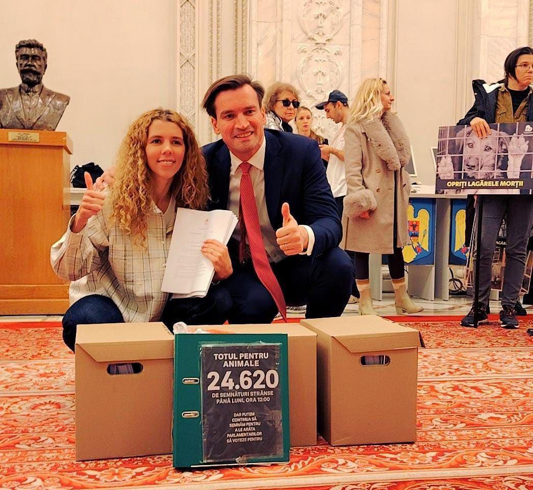 Ministerul Educației a aprobat recent introducerea „Ore cu și pentru Animale” ca materie opțională în școlile din toată țara, proiect inițiat de Hilde Tudora