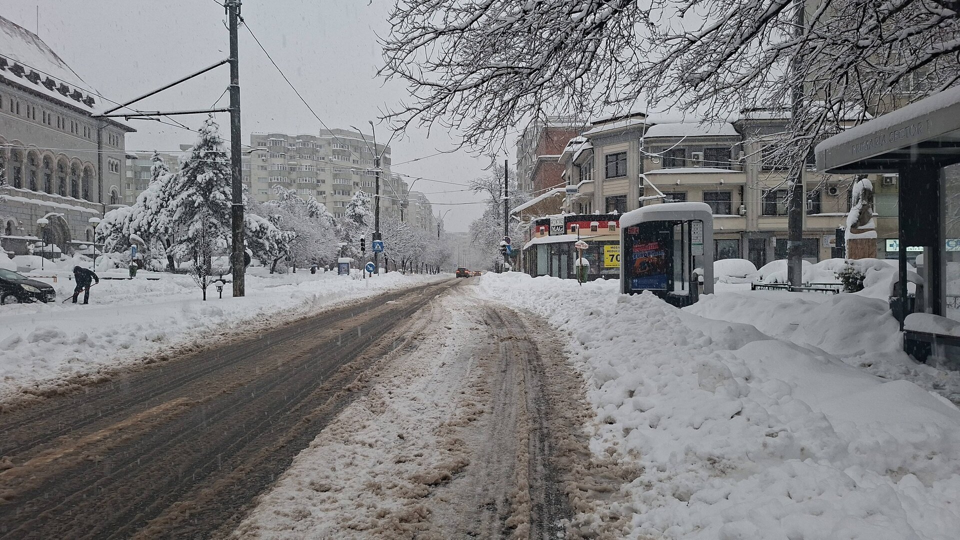 În fața ninsorilor abundente care au acoperit capitala și împrejurimile, autoritățile locale din Sectorul 1 au luat măsuri rapide pentru a gestiona situația și a menține siguranța cetățenilor