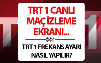 6757f4a36e7e9ba6d6c27af4.jpg - ReactMedia