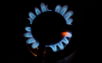 82003c33-ec60-4449-9f50-49bc4fdab088.jpg - ReactMedia