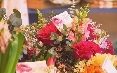 8669895a4da9b03111b0f3a5e6830f7f.jpeg - ReactMedia