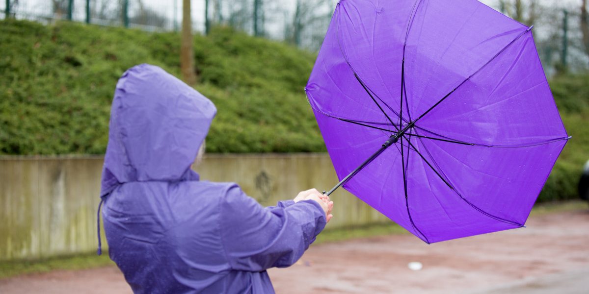 Cinci județe se află sub avertizare de vânt puternic. Anunțul meteorologilor