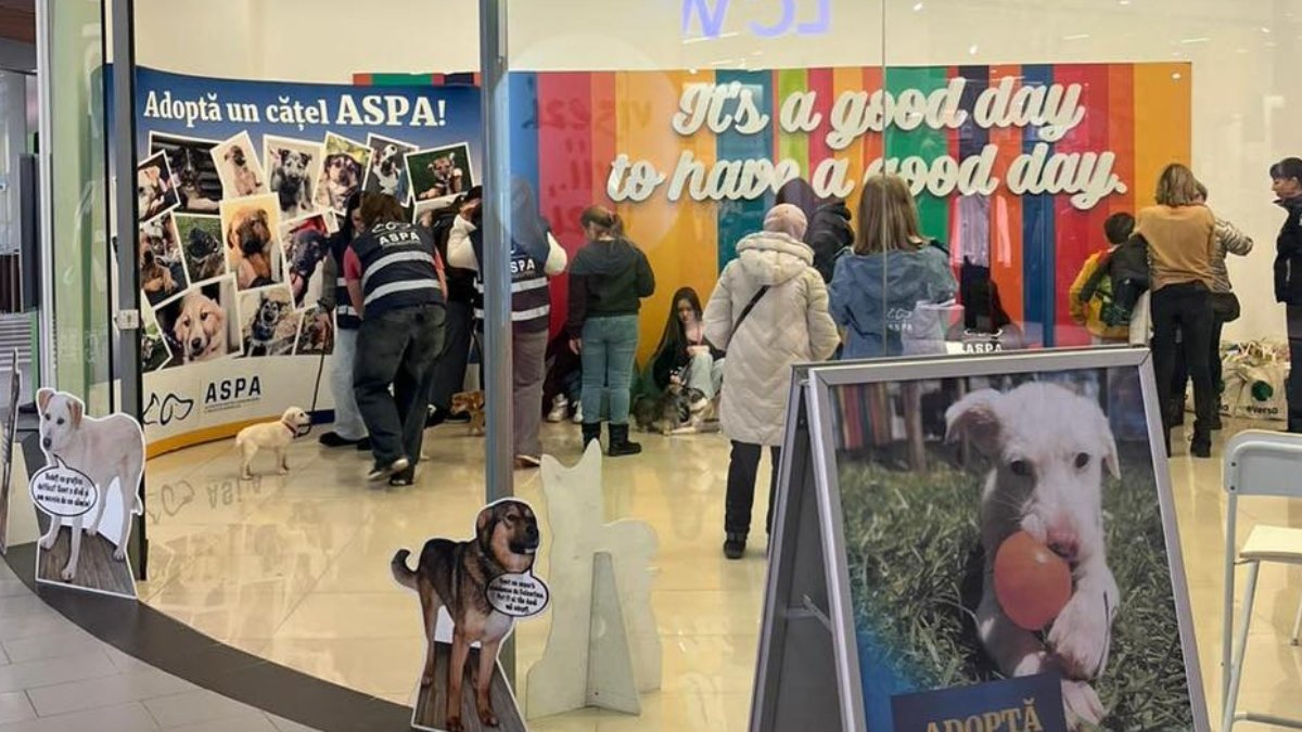 Primul târg de adopții al anului 2026, organizat de Autoritatea pentru Supravegherea și Protecția Animalelor din București, a avut loc în weekend la Veranda Mall, aducând în prim-plan dorința de a salva și de a oferi o nouă șansă animalelor de companie