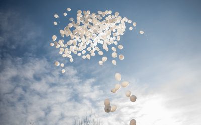 FB1A1660.jpg - ReactMedia