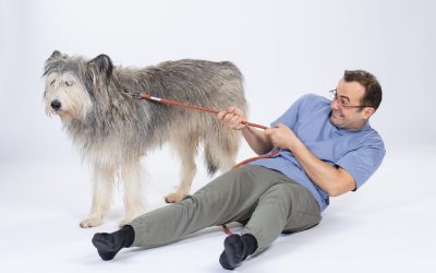 Foto-Leya_George-scaled.jpg - ReactMedia