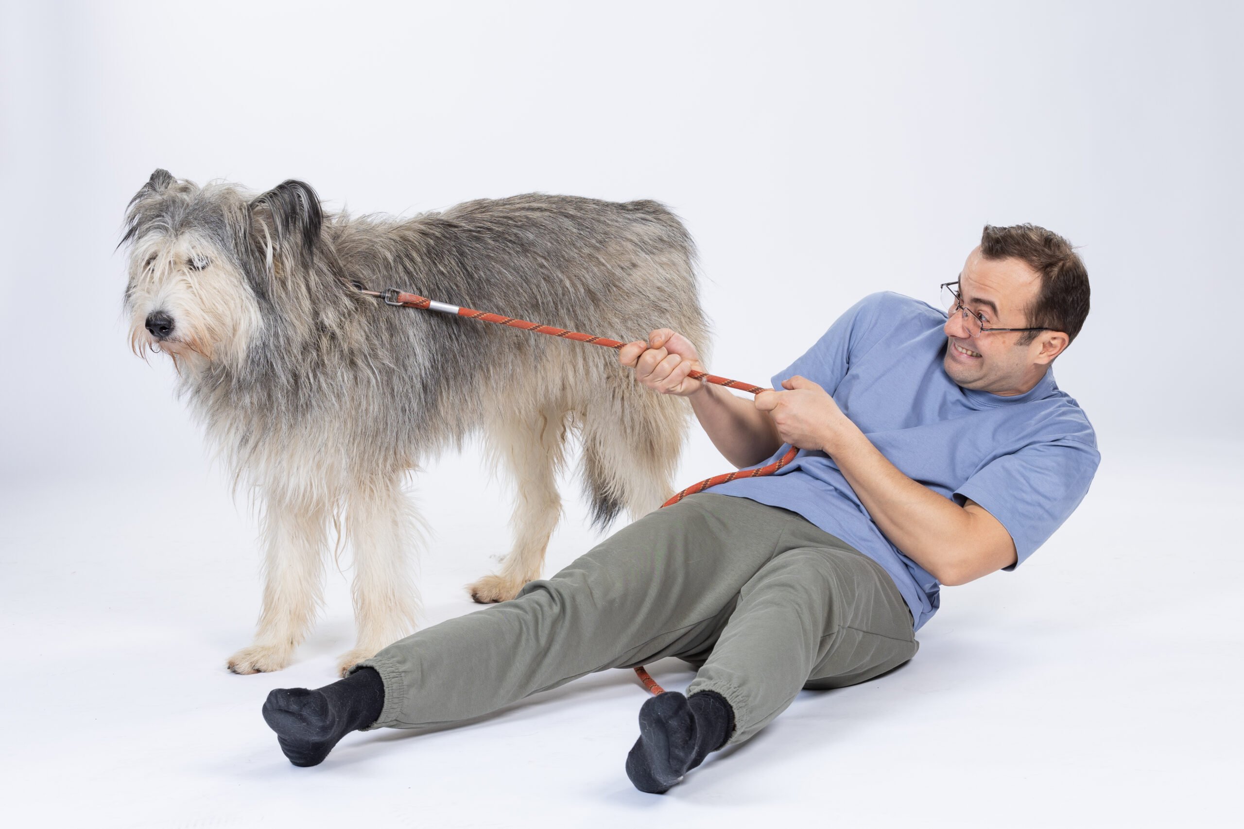 „Efectul Pufi”: film românesc pentru susținerea adăposturilor de animale din Sector 2