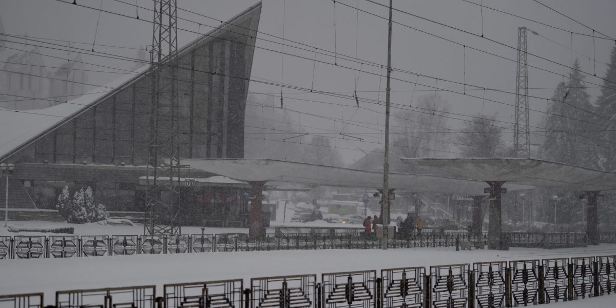 ID239030_INQUAM_Photos_Alex-Nicodim_-scaled.jpg - ReactMedia