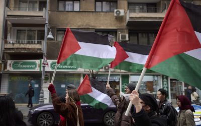 ID297814_INQUAM_Photos_Codrin_Unici-1600x1067-1.jpg - ReactMedia