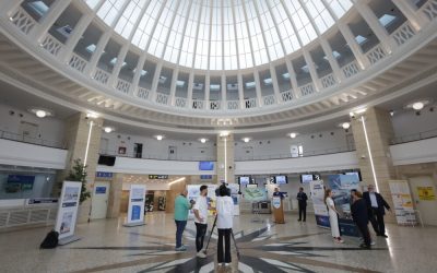 ID315927_INQUAM_Photos_George_Calin-1000x667.jpg - ReactMedia