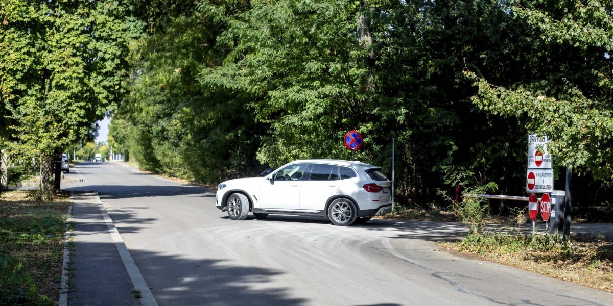 ID317768_INQUAM_Photos_Ovidiu_Micsik-scaled.jpg - ReactMedia