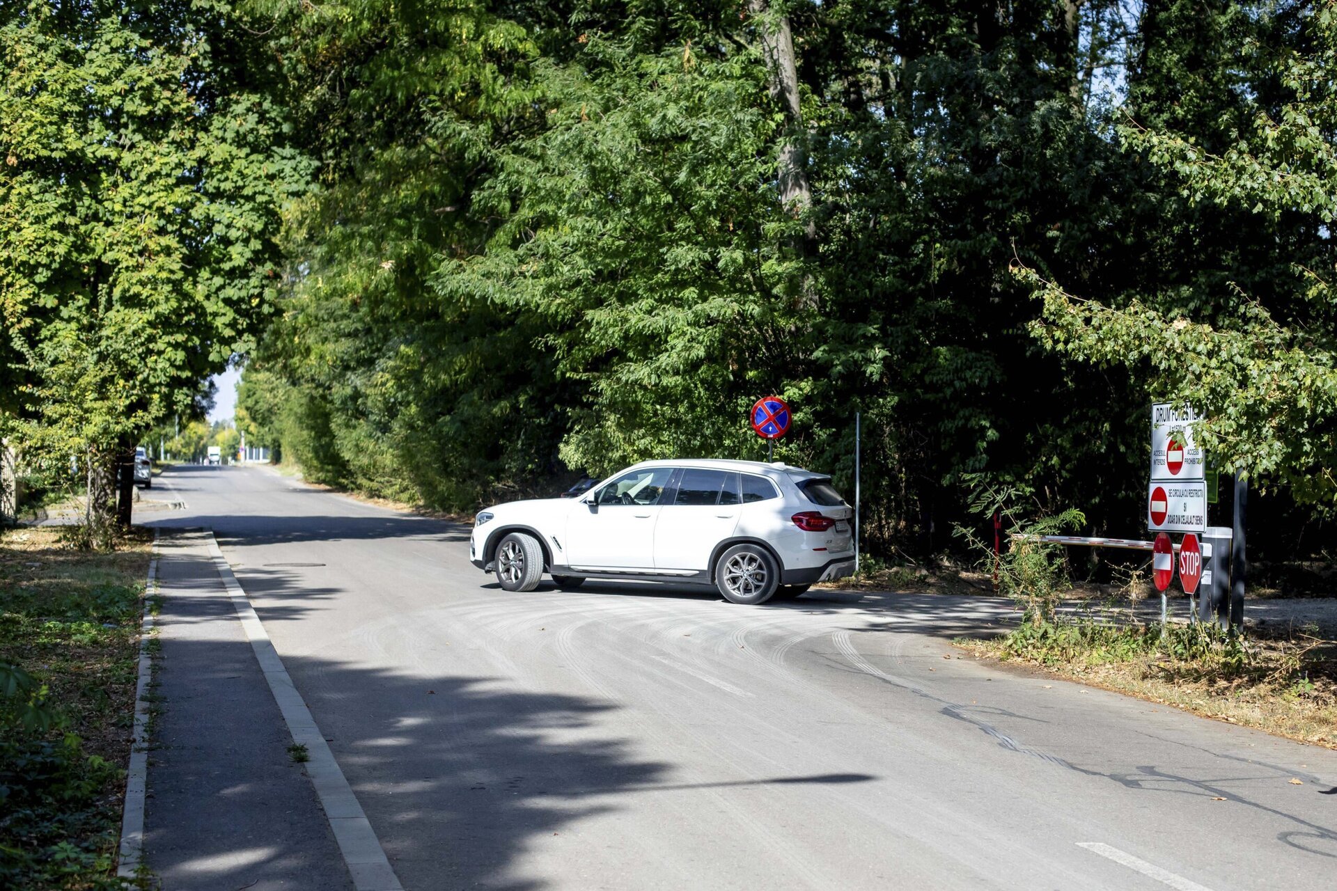 Autoritățile din domeniul protecției mediului au dat publicității concluziile unui raport al Corpului de Control referitor la accesul auto pe traseul din Pădurea Băneasa, în zona cartierului Greenfield