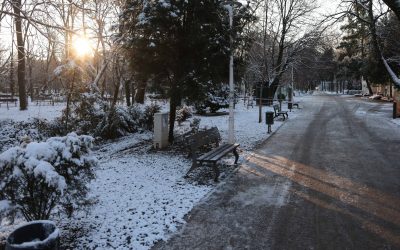 ID330501_INQUAM_Photos_George_Calin-1-e1770545727817.jpg - ReactMedia