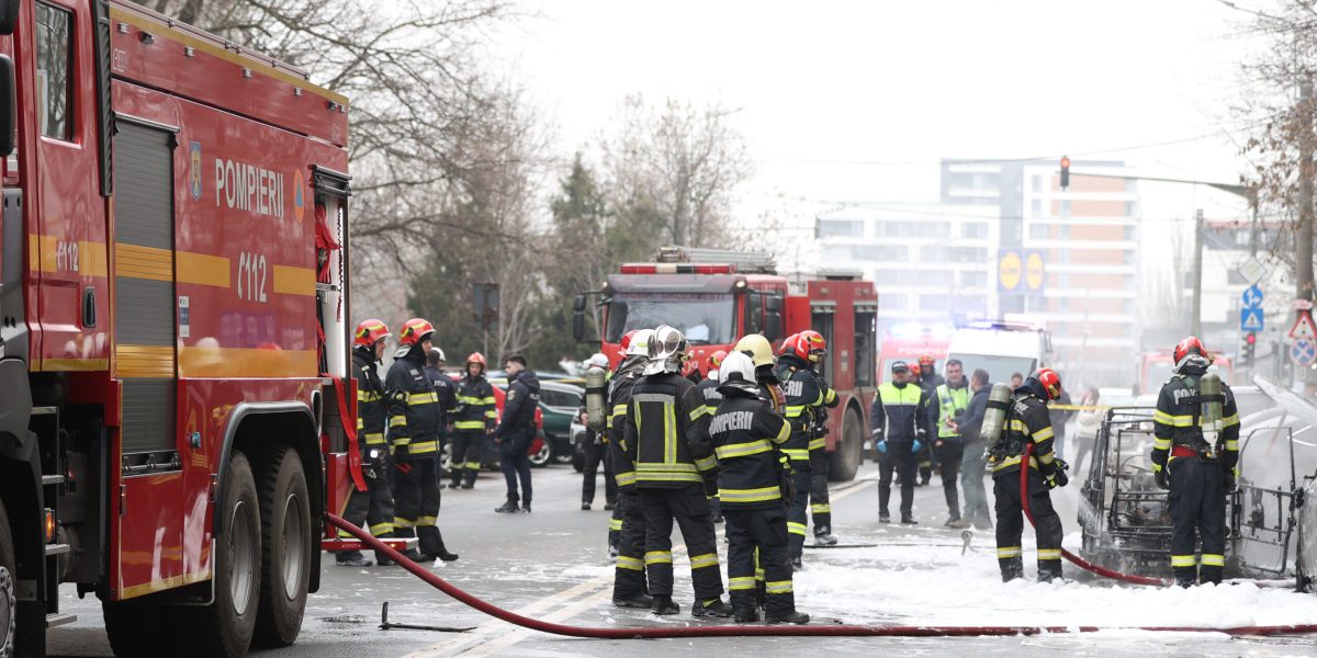 ID333754_INQUAM_Photos_Cosmin_Enache-scaled.jpg - ReactMedia