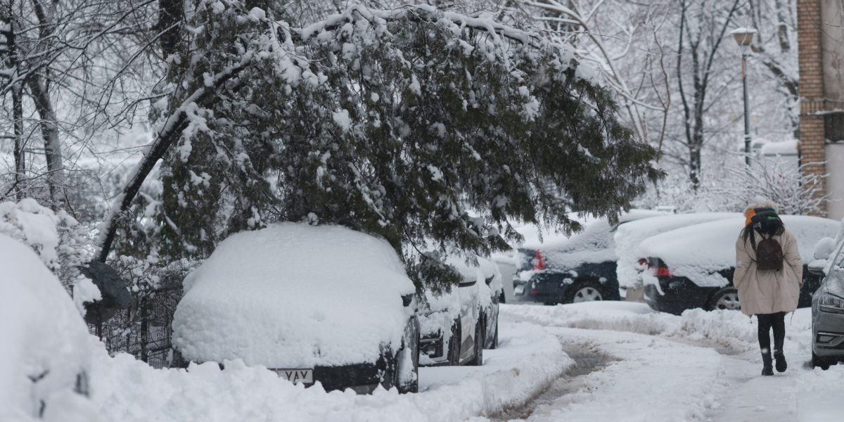 ID333964_INQUAM_Photos_George_Calin-scaled.jpg - ReactMedia