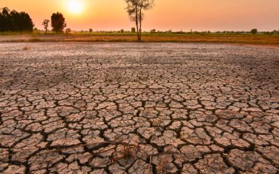 MSZoYXNoPTkwNTY4MWMxZDAyYjQyYTRhNzQ0NmIyMjdhMWNiNTNi.thumb_.jpg - ReactMedia