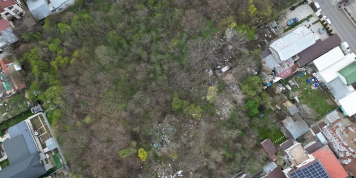 Parcul-Moroeni.jpg - ReactMedia