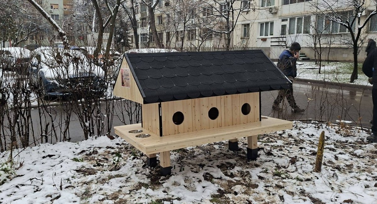 Patru noi căsuțe pentru pisici, instalate în Sectorul 6