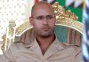 Saif_al-Islam_Kadhafi.jpg - ReactMedia
