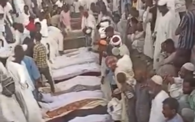 Screenshot-2024-06-06-at-11.54.51.png - ReactMedia