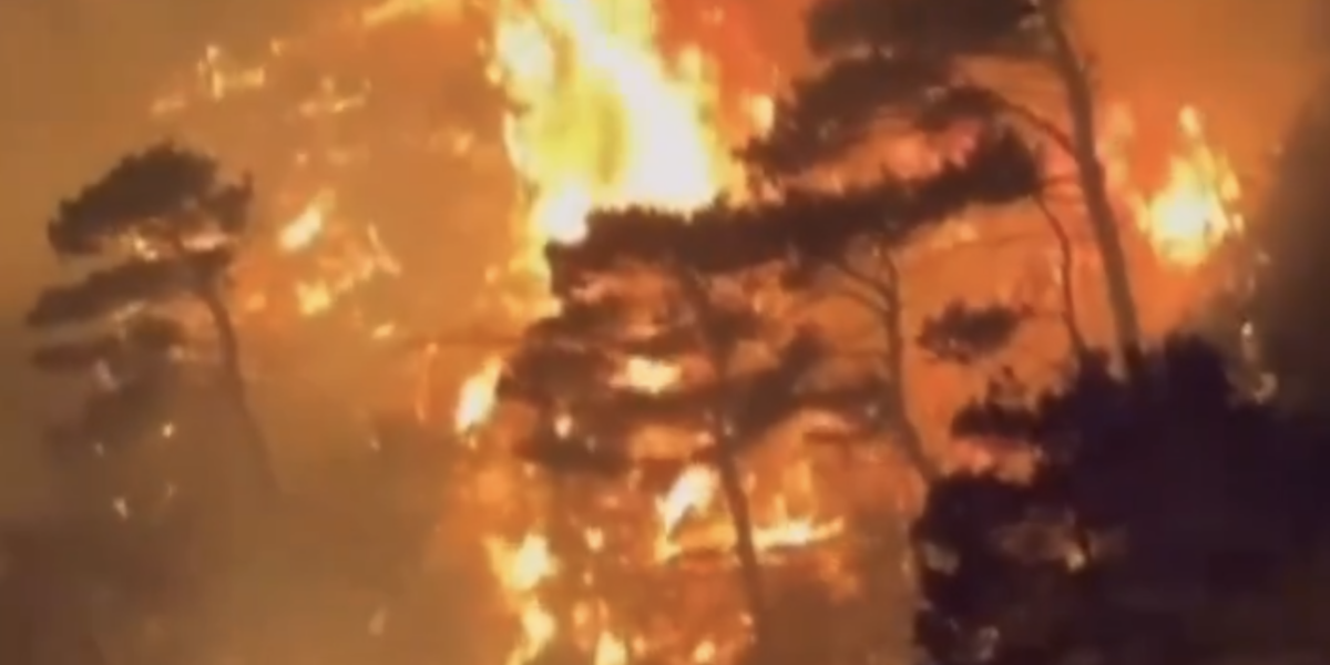 Screenshot-2024-07-10-at-22.52.14.png - ReactMedia