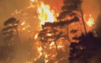 Screenshot-2024-07-10-at-22.52.14.png - ReactMedia