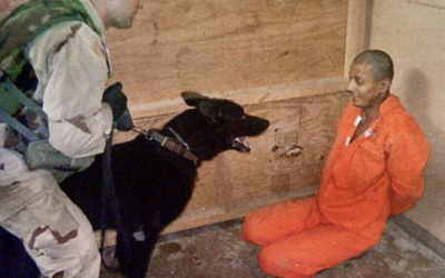 Screenshot-2024-11-12-at-22.31.31.png - ReactMedia