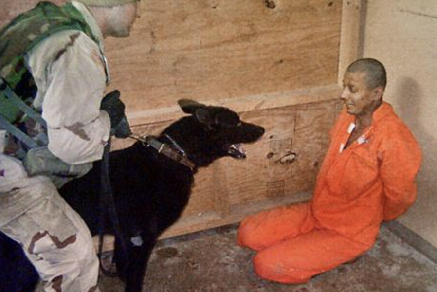 Screenshot-2024-11-12-at-22.31.31.png - ReactMedia