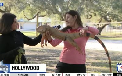 Screenshot-2026-02-02-at-10.29.50.jpg - ReactMedia