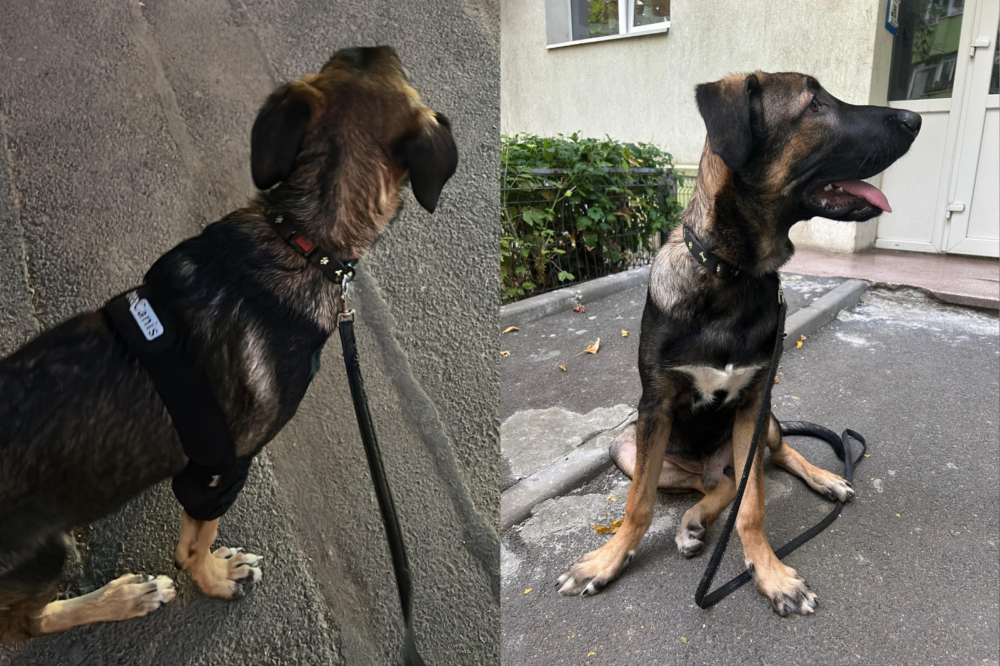 Reportaj: Un bărbat cu comportament agresiv într-un autobuz