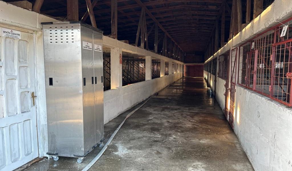 WhatsApp-Image-2023-10-11-at-19.46.47-15-1.jpeg - ReactMedia