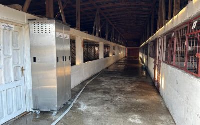 WhatsApp-Image-2023-10-11-at-19.46.47-15-1.jpeg - ReactMedia